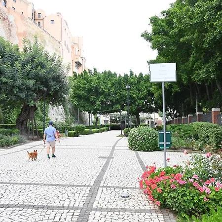 Zenflamingo Mini Monolocale * קליארי